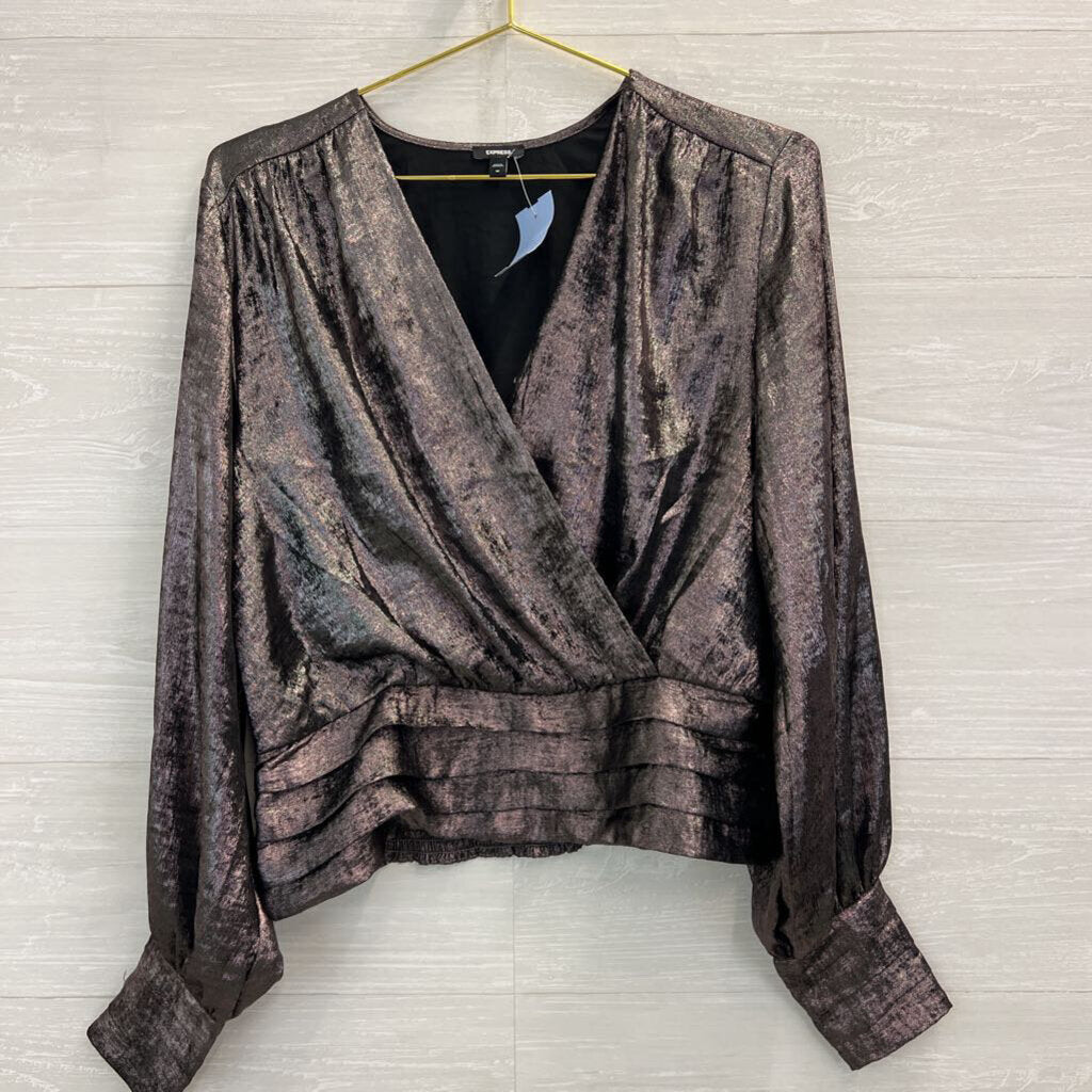 Express Metallic Grey Long Sleeve V Neck Top Medium