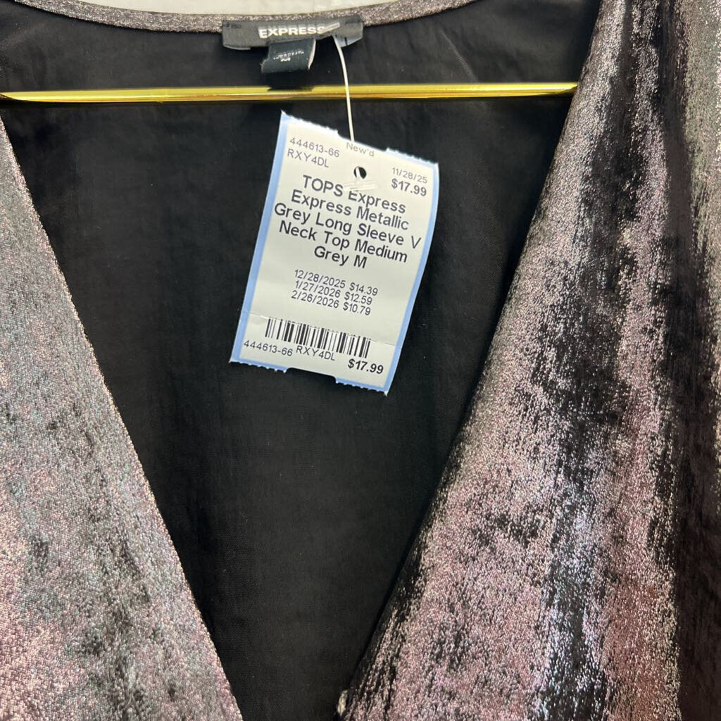 Express Metallic Grey Long Sleeve V Neck Top Medium