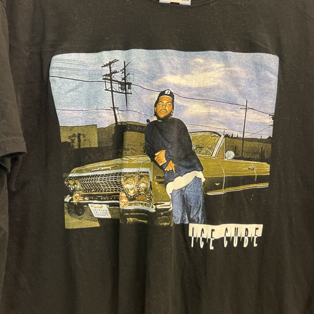 Ice Cube Black/ Multi Short Sleeve Graphic Tee 2XL