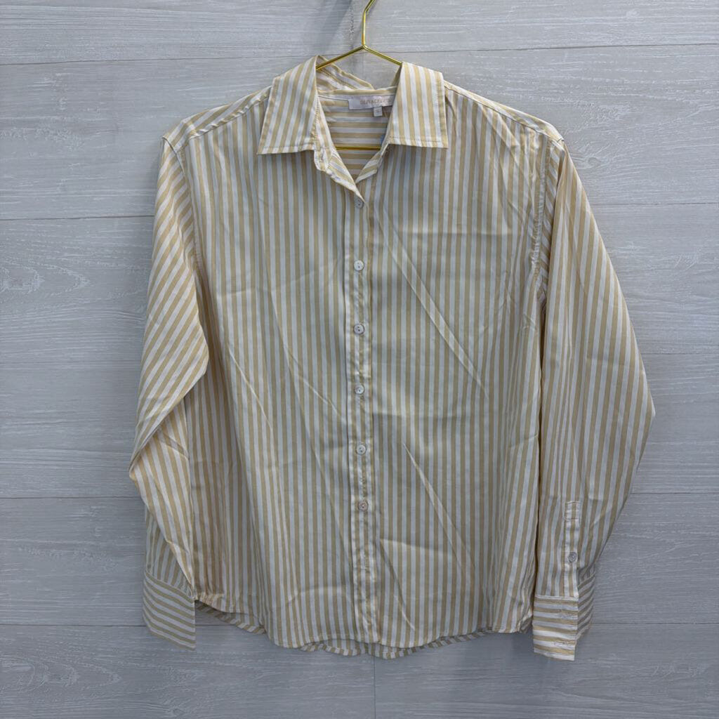 Olivaceous White/ Beige Striped Long Sleeve Button Down Top Small
