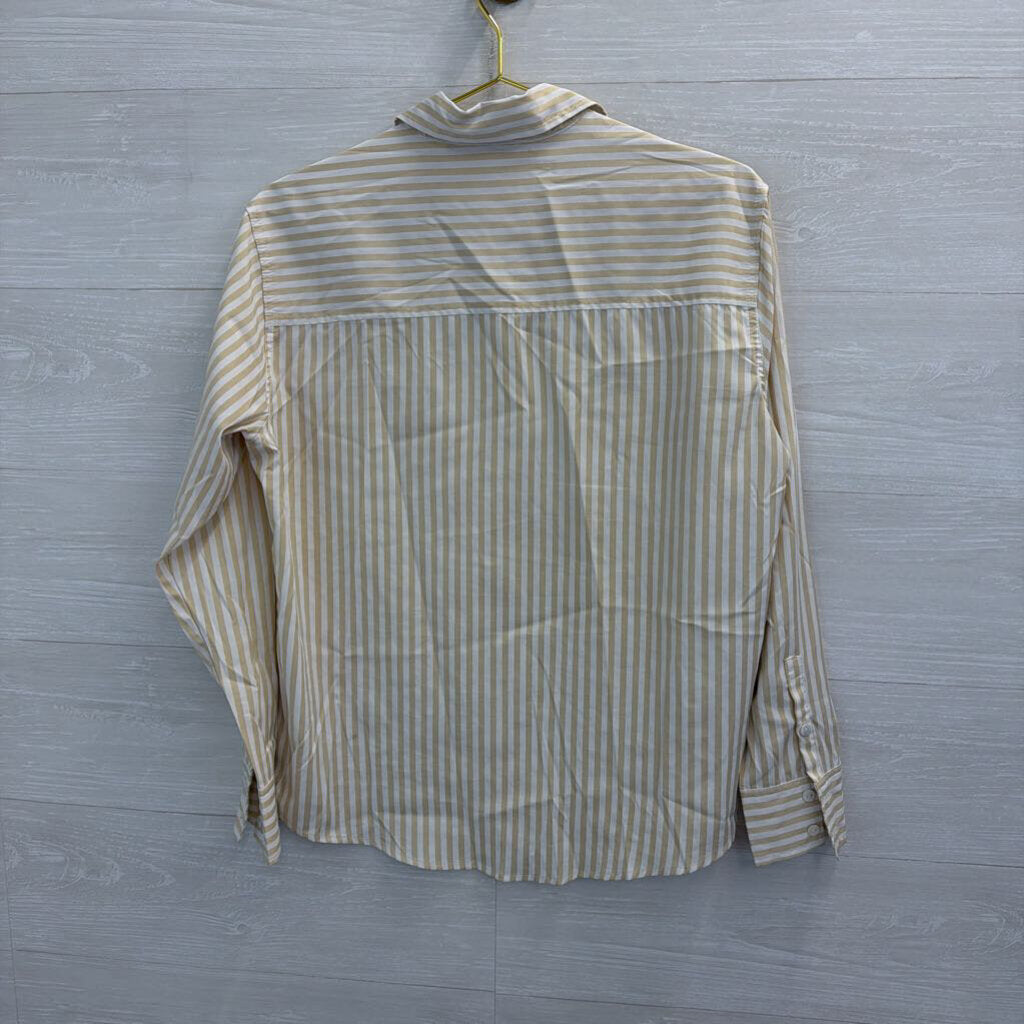 Olivaceous White/ Beige Striped Long Sleeve Button Down Top Small