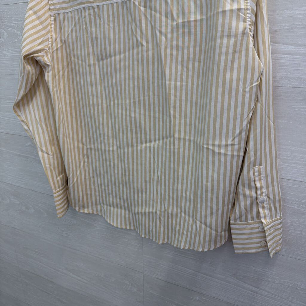 Olivaceous White/ Beige Striped Long Sleeve Button Down Top Small