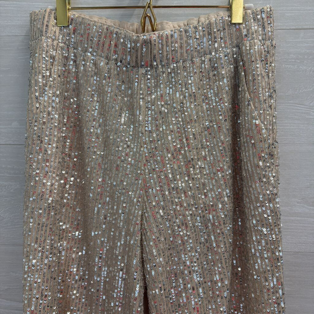 Loft Gold/ Silver Sequin Pull On Jogger Pants Small