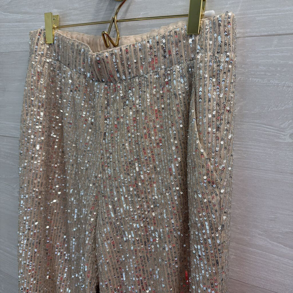 Loft Gold/ Silver Sequin Pull On Jogger Pants Small