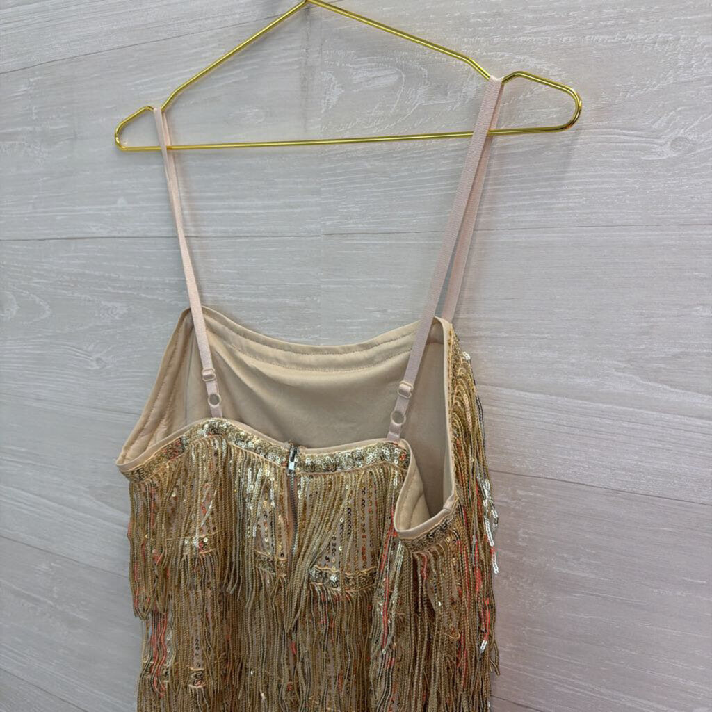 Gold Sequin Fringe Mini Dress Large
