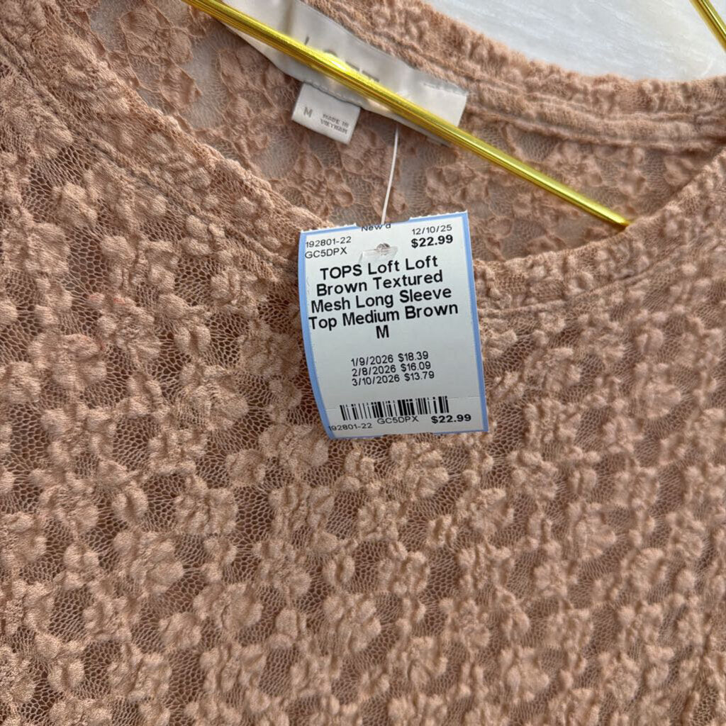 Loft Brown Textured Mesh Long Sleeve Top Medium