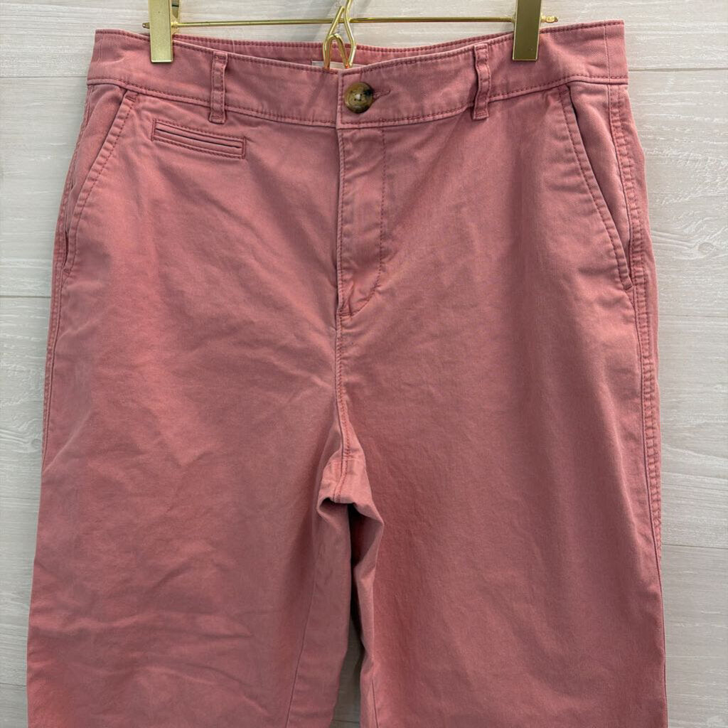 Loft Pink The Monroe Wide Leg Pants 10 Petite