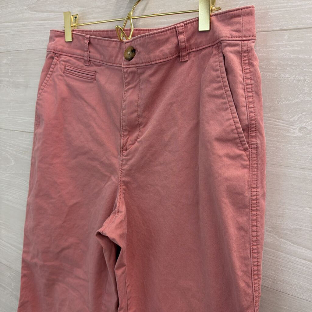 Loft Pink The Monroe Wide Leg Pants 10 Petite