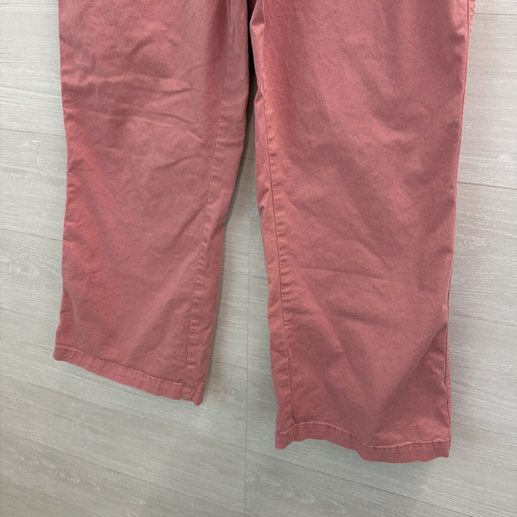 Loft Pink The Monroe Wide Leg Pants 10 Petite