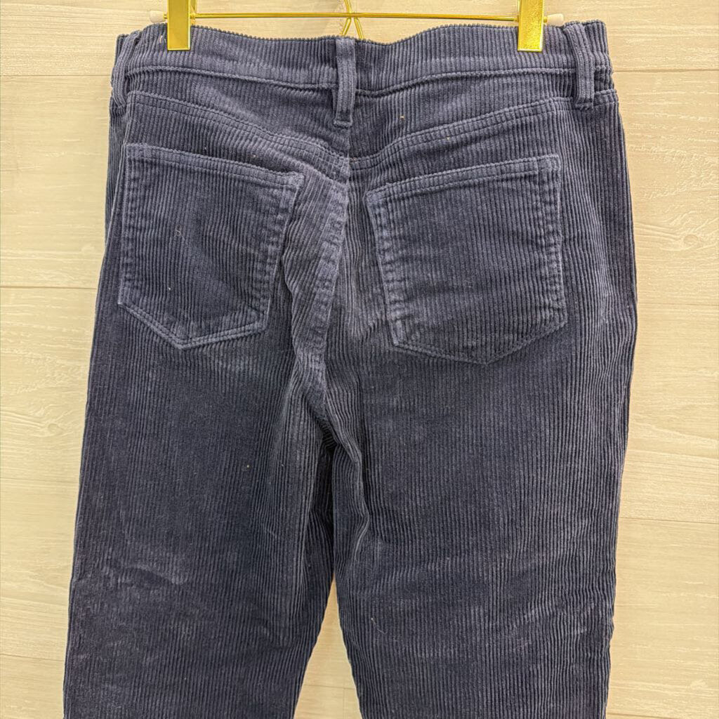 Loft Blue Corduroy Wide Leg Pants 10 Petite