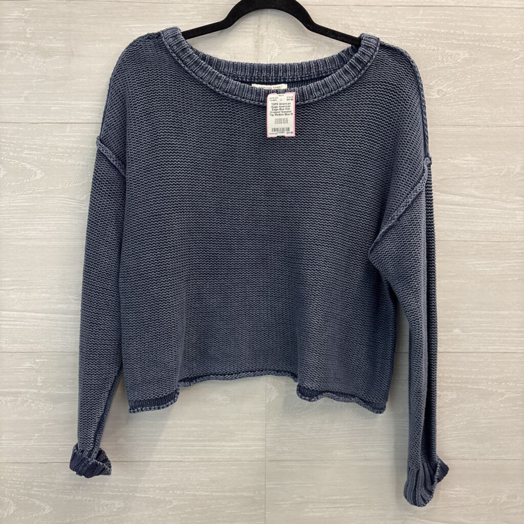 American Eagle Blue Knit Cropped Sweater Top Medium