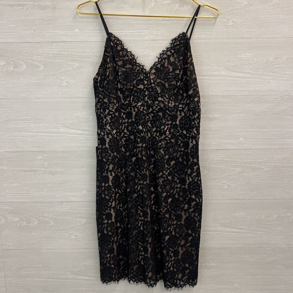 Express Black/ Beige Lace Mini Dress Medium