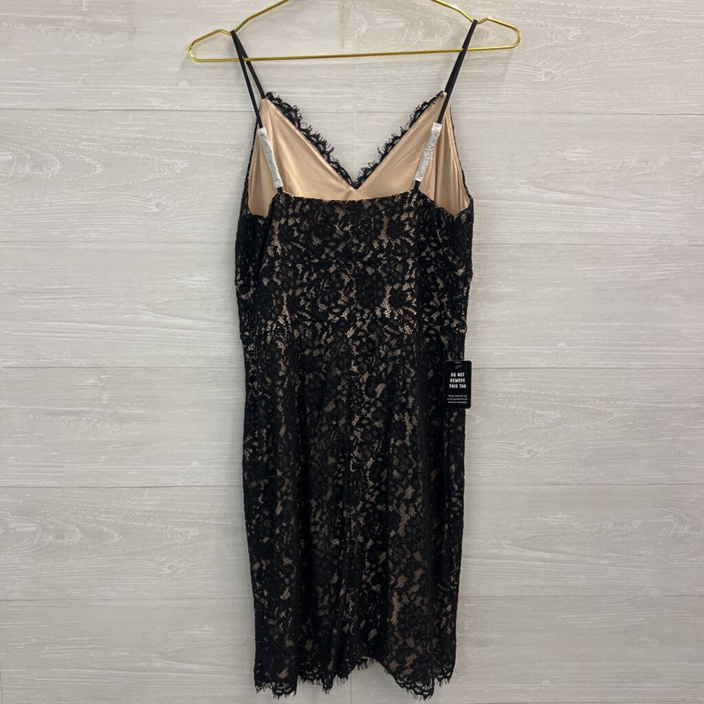 Express Black/ Beige Lace Mini Dress Medium