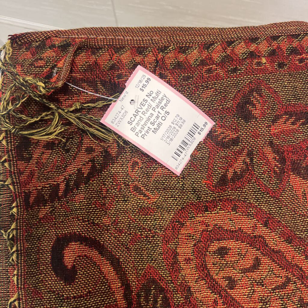 Red/ Multi Pashmina Paisley Print Scarf