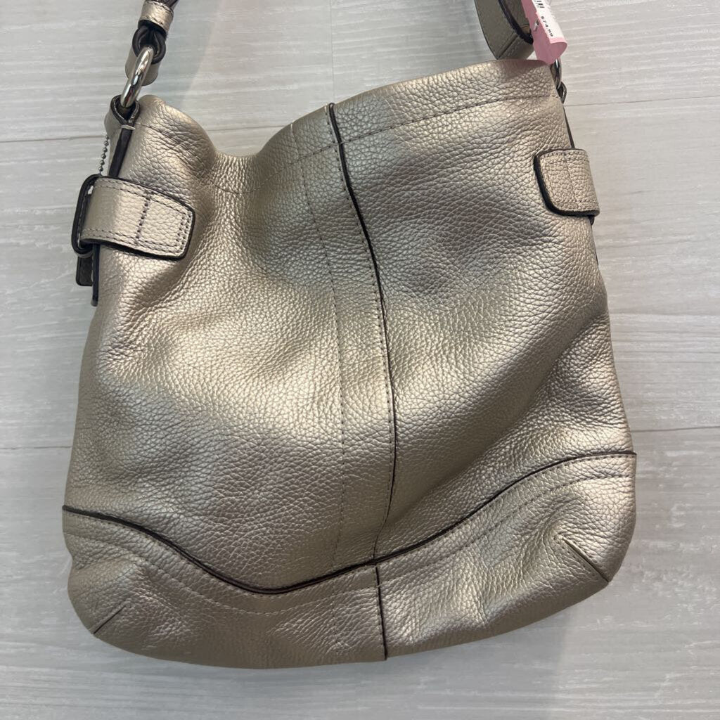 Coach Metallic Silver Leather Silver Chainlink Crossbody Purse