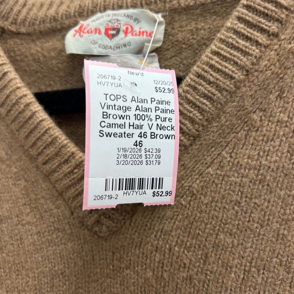 Vintage Alan Paine Brown 100% Pure Camel Hair V Neck Sweater 46