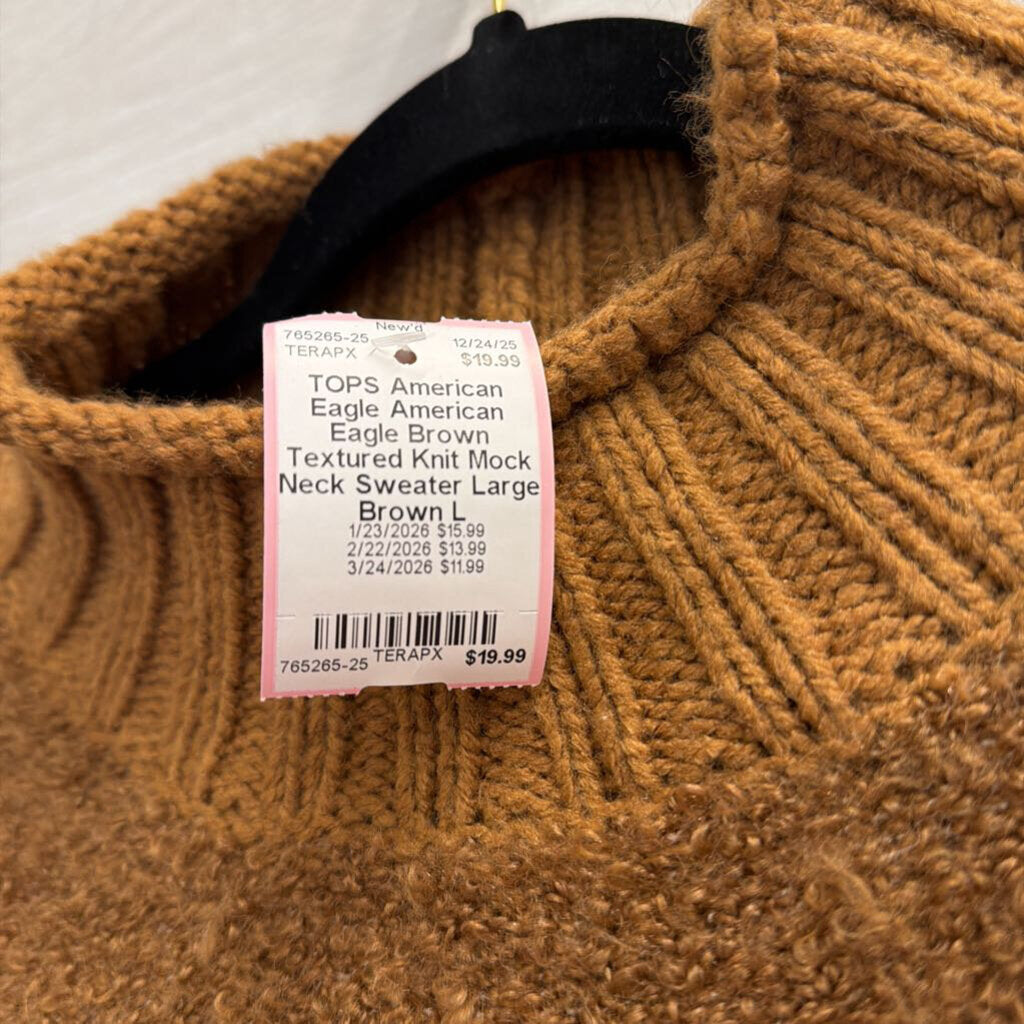 American Eagle Brown Textured Knit Mock Neck Sweater Large