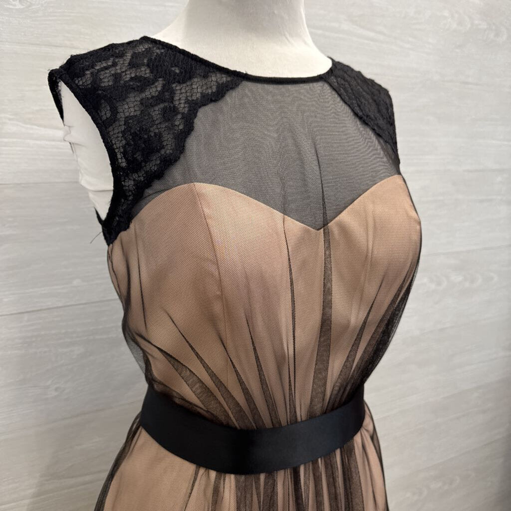 Bari Jay Blush/ Black Lace Mesh Overlay Short Formal Dress 12