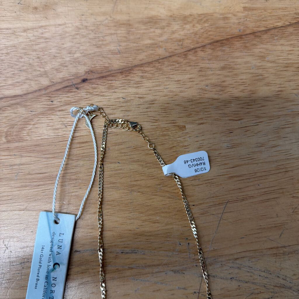 Luna Norte 14kt Gold Plated Brass Dainty Chain Necklace