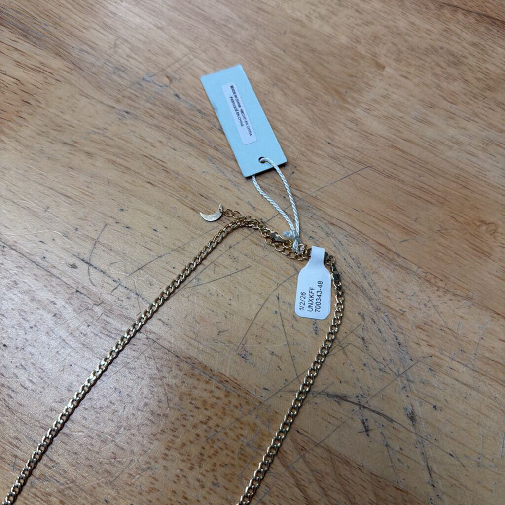 Luna Norte 14kt Gold Plated Brass Dainty Chain Necklace