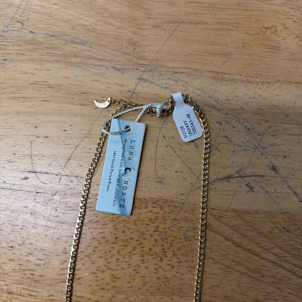 Luna Norte 14kt Gold Plated Brass Dainty Chain Necklace