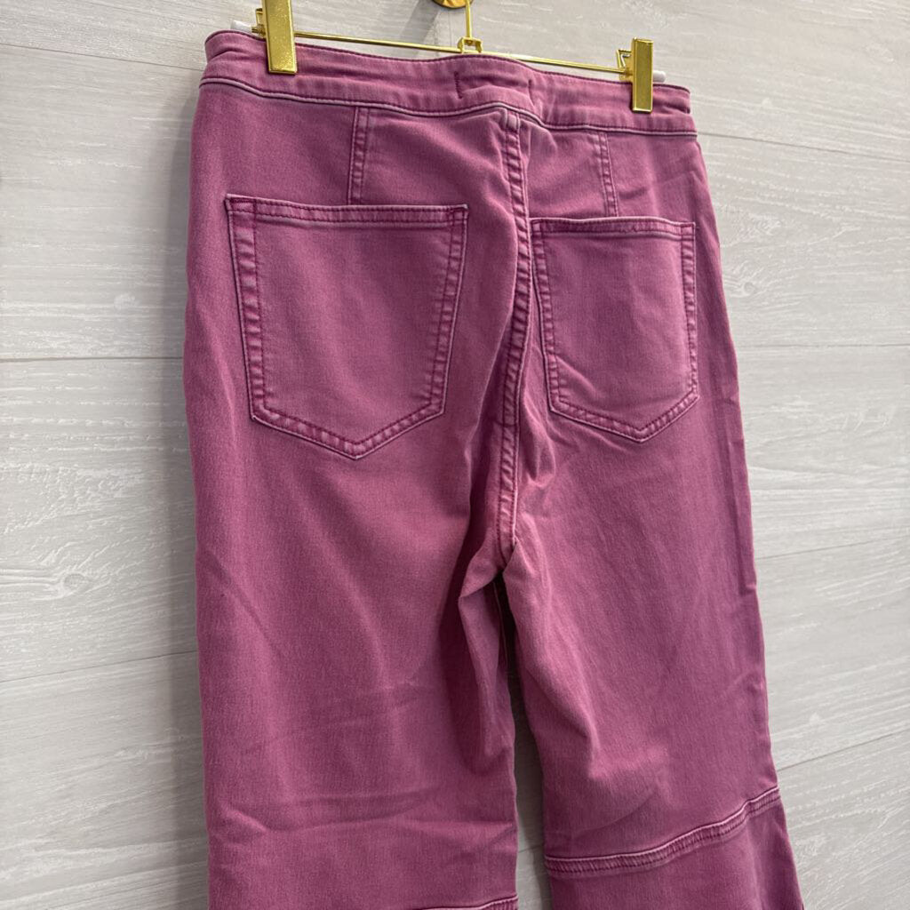 We The Free Pink Denim Flare Leg Pants 28