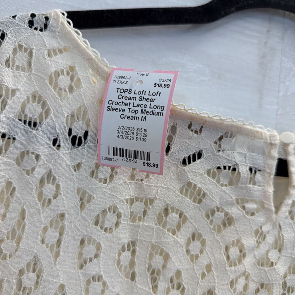 Loft Cream Sheer Crochet Lace Long Sleeve Top Medium