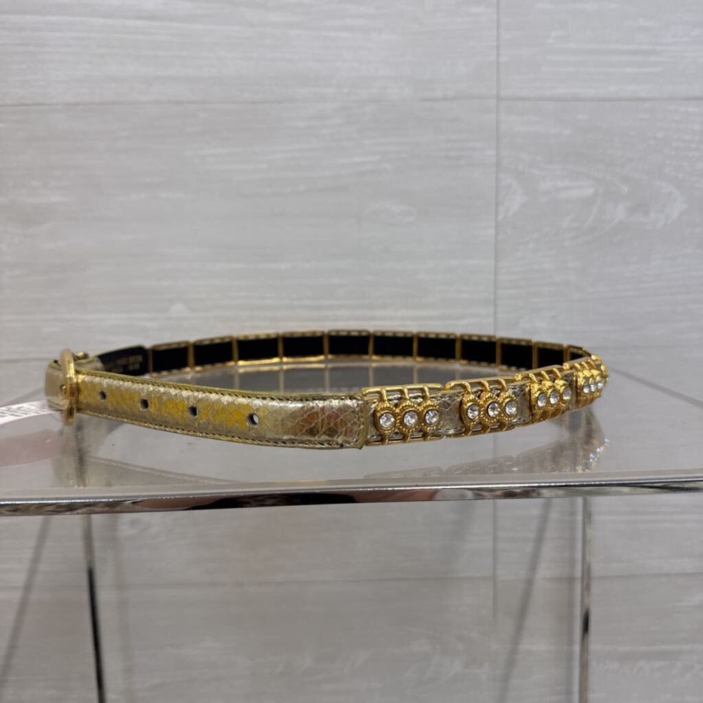 Gold Snakeskin Print/ Embellished Gold Belt Small/ Medium