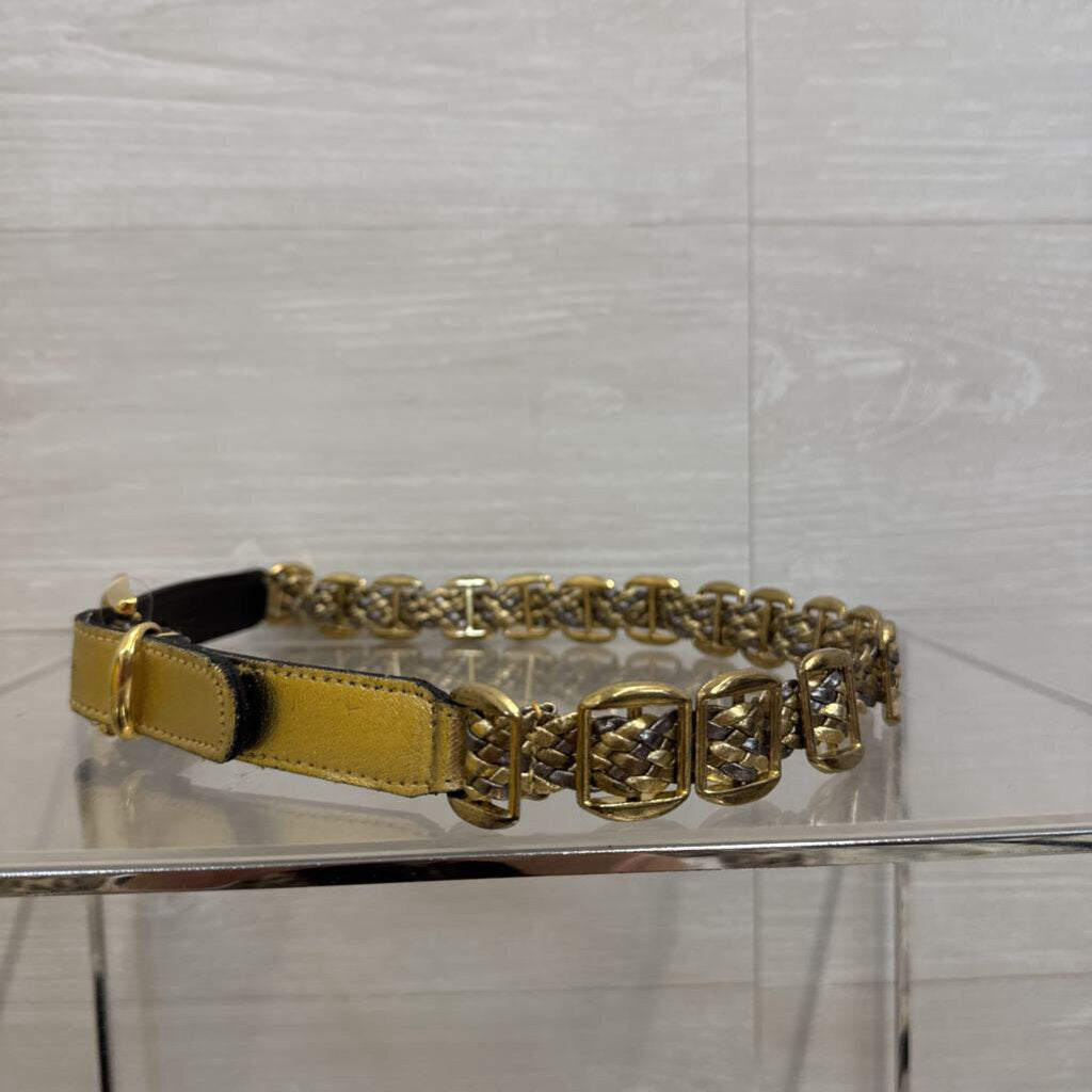 Gold/ Silver Metallic Woven Gold Buckle Detail Belt Small