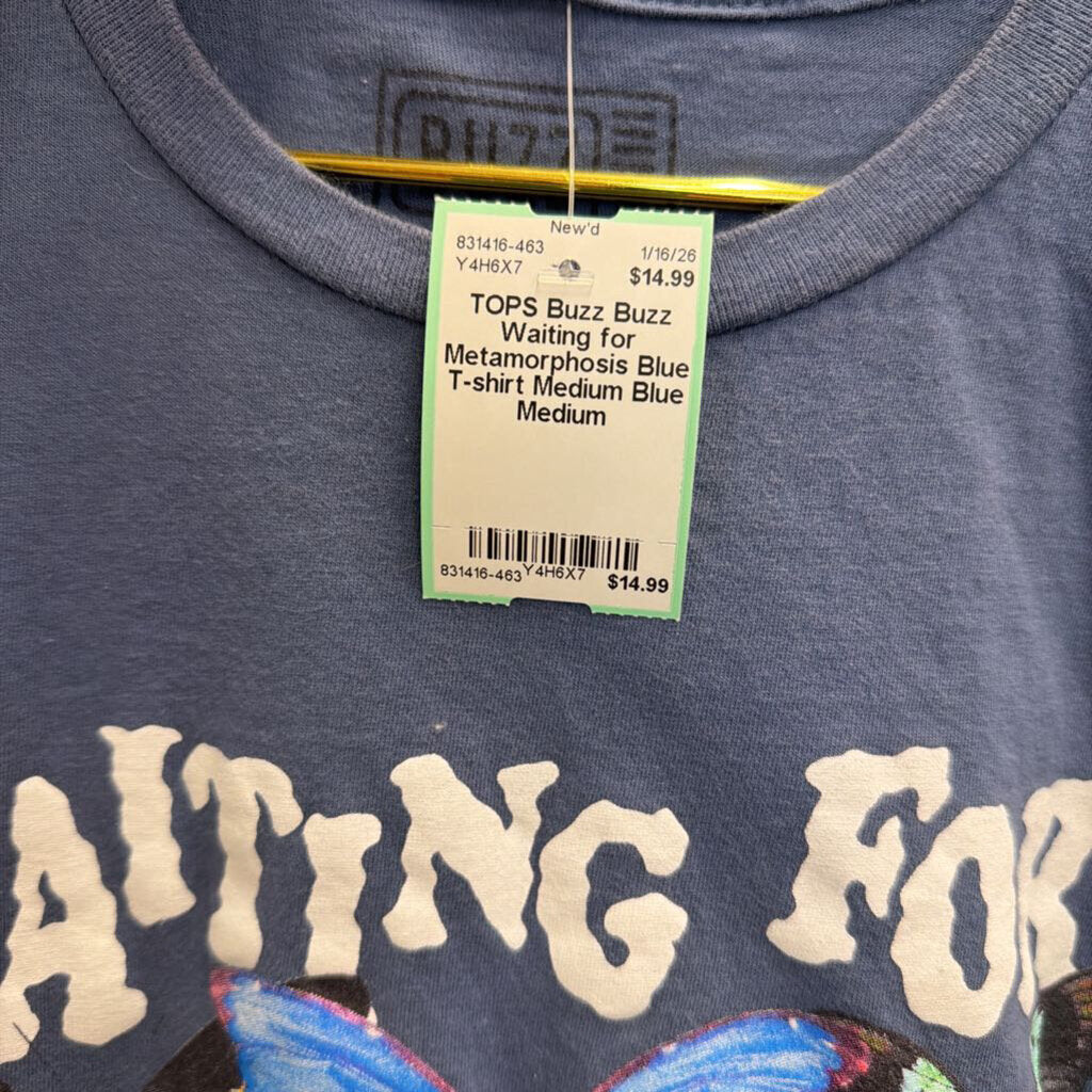 Buzz Waiting for Metamorphosis Blue T-shirt Medium