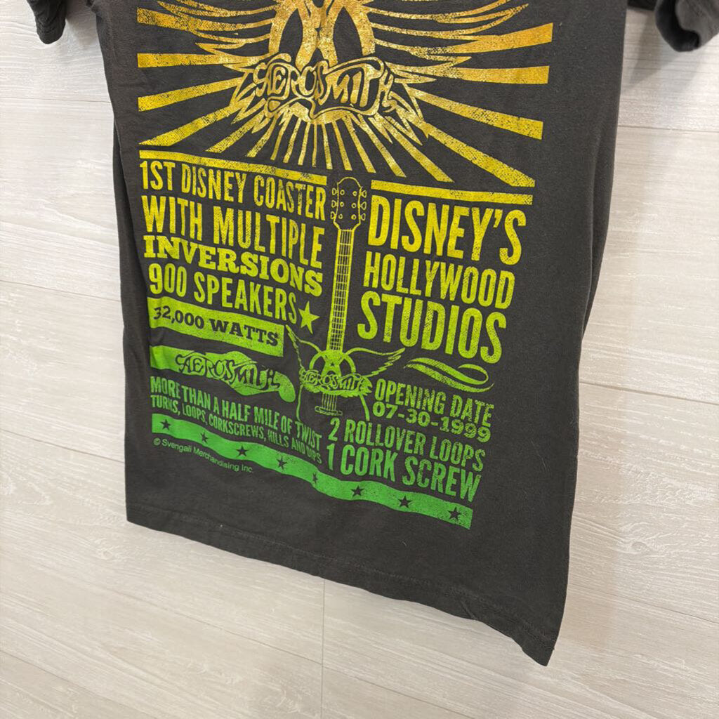 Disney Grey/ Multi Rock N Roller Coaster Short Sleeve Graphic Tee Small