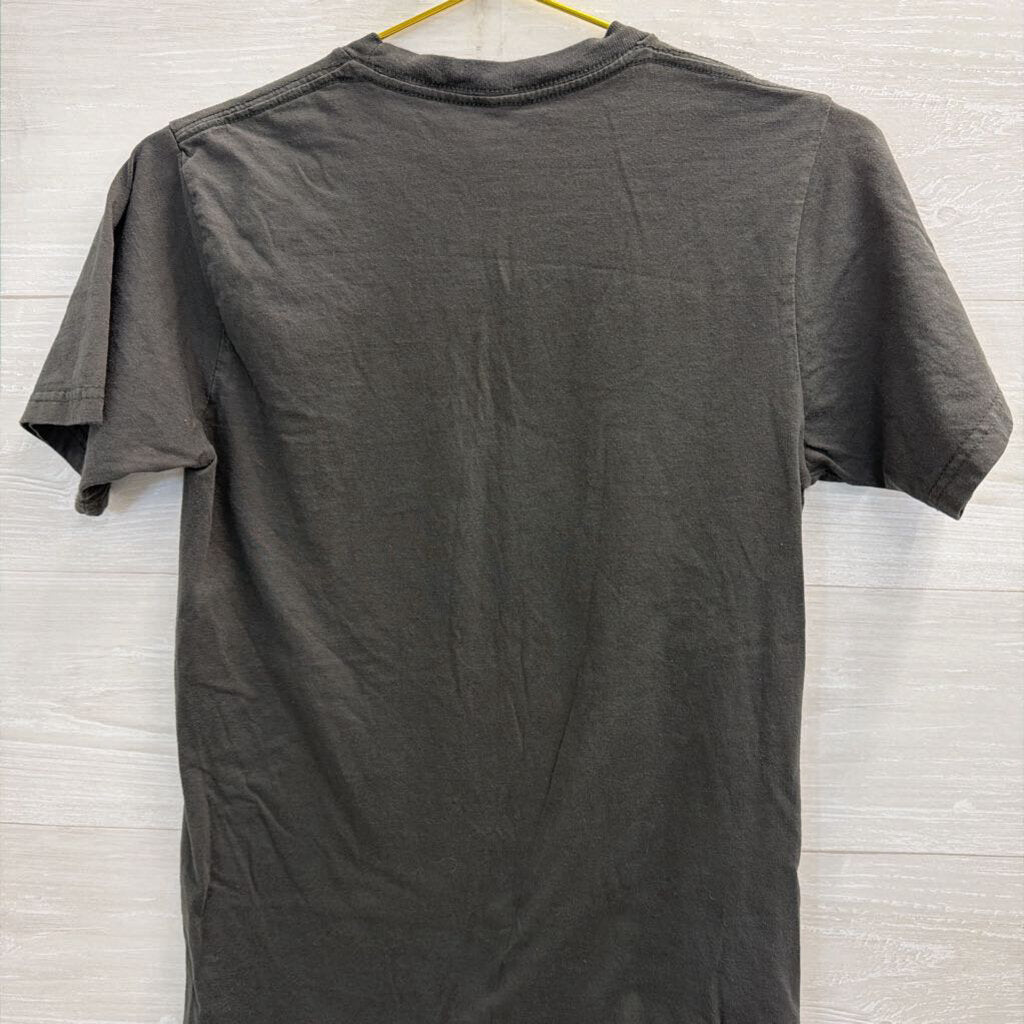 Disney Grey/ Multi Rock N Roller Coaster Short Sleeve Graphic Tee Small