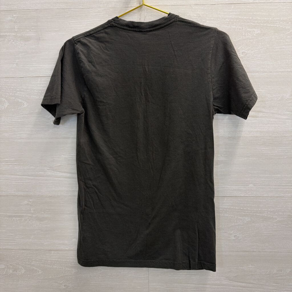 Disney Grey/ Multi Rock N Roller Coaster Short Sleeve Graphic Tee Small