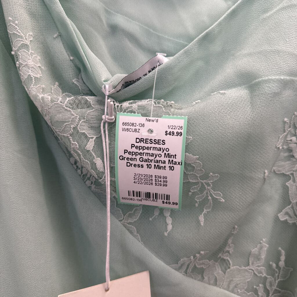 Peppermayo Mint Green Gabriana Maxi Dress 10