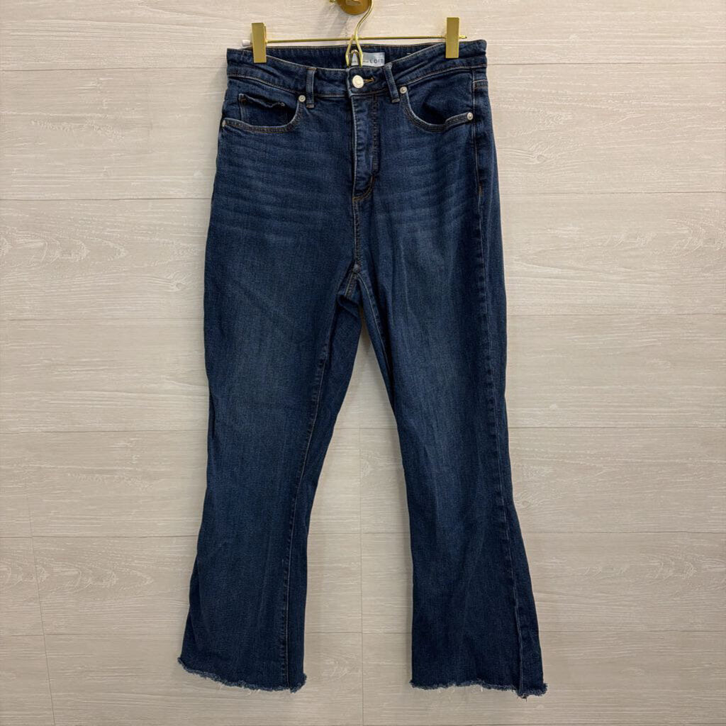 Loft Dark Wash The Curvy Kick Crop Jeans 27