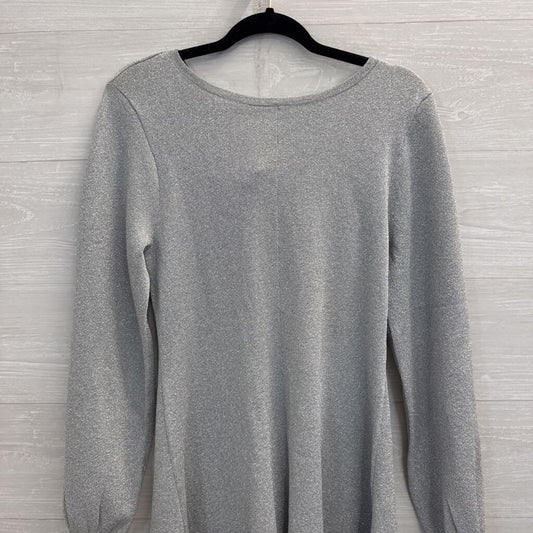 J Crew Silver Shimmer Knit Long Sleeve Knot Back Dress Medium