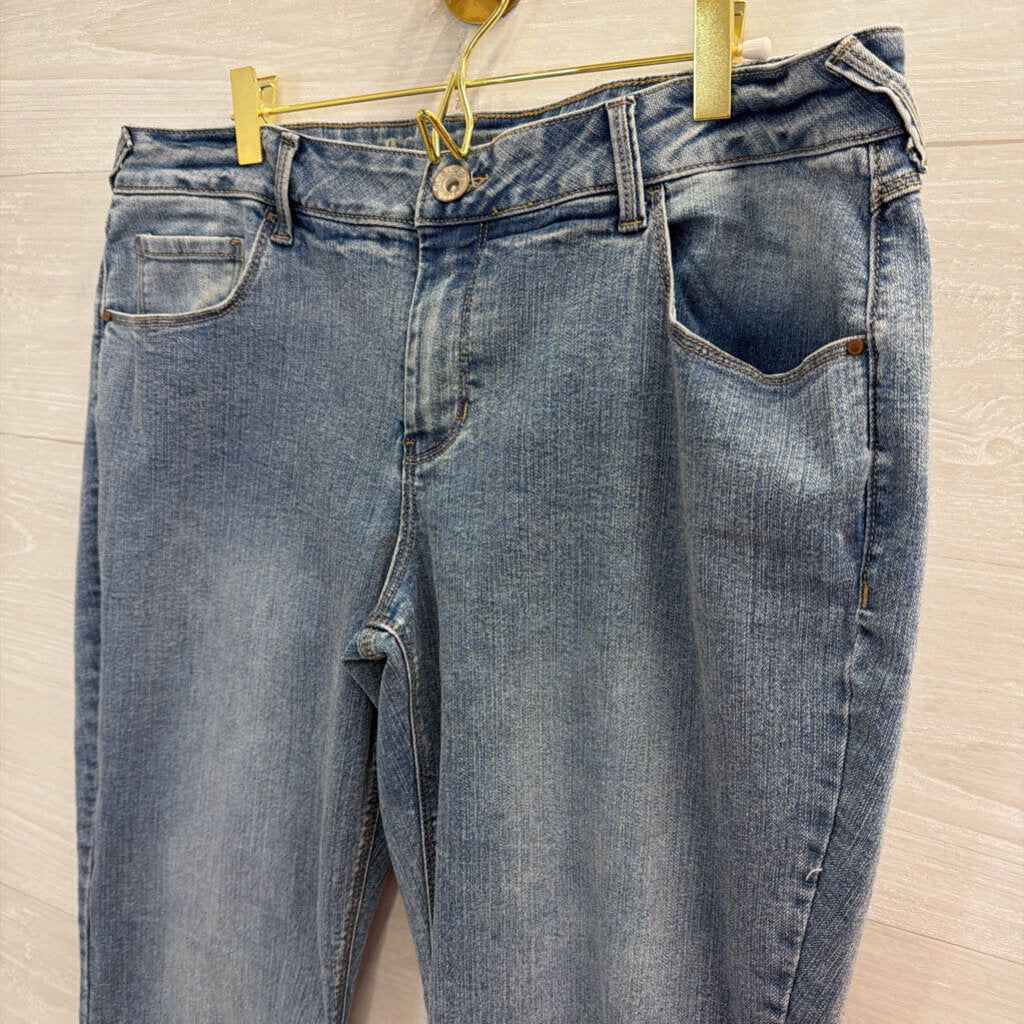 Natural Reflections Light Wash Straight Leg Jeans 16 Petite