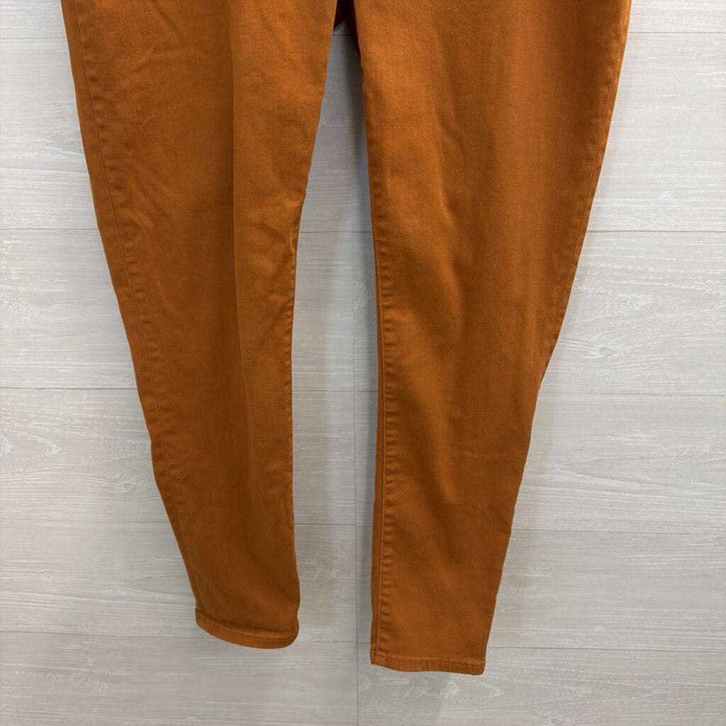 Madewell Brown 9" Mid Rise Skinny Jeans 33