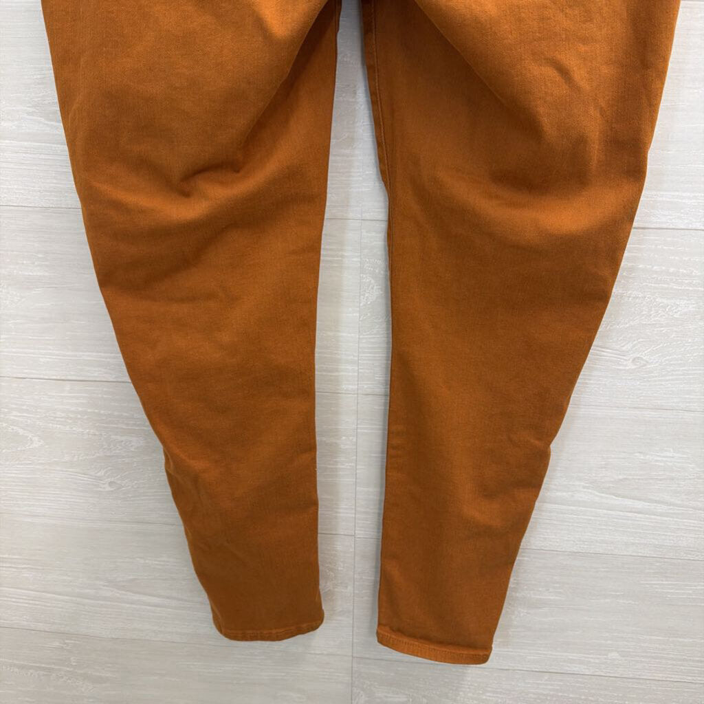 Madewell Brown 9" Mid Rise Skinny Jeans 33