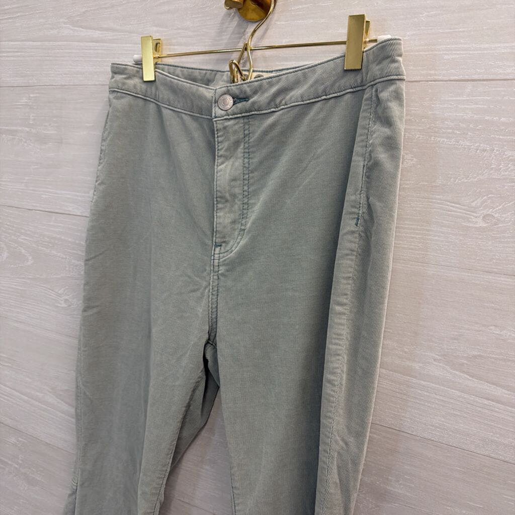 We the Free Blue Flare Corduroy Pants 29