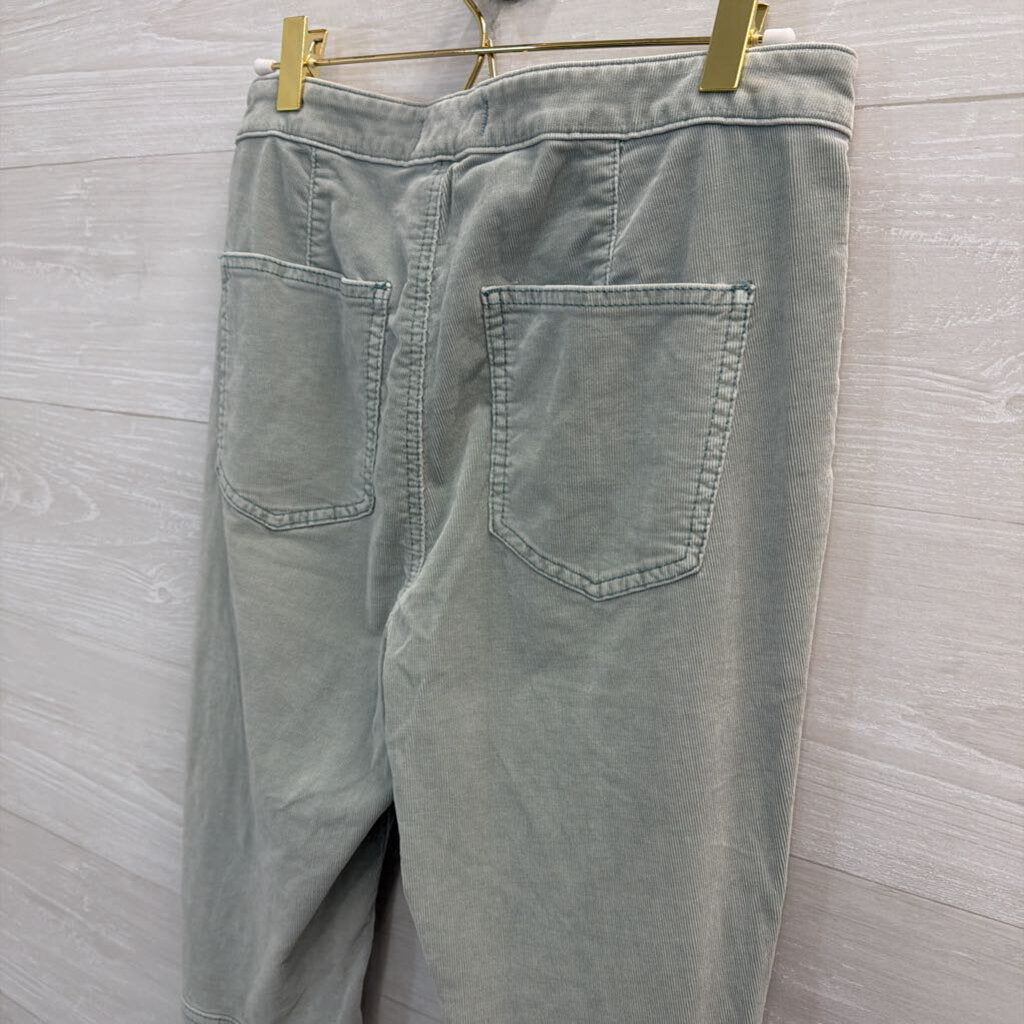 We the Free Blue Flare Corduroy Pants 29