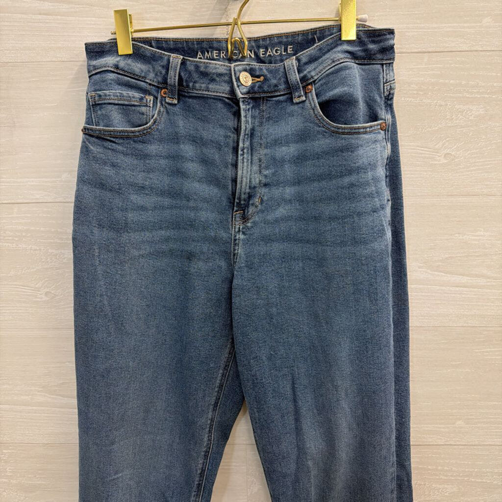 American Eagle Medium Wash Mom Jeans 8 Long