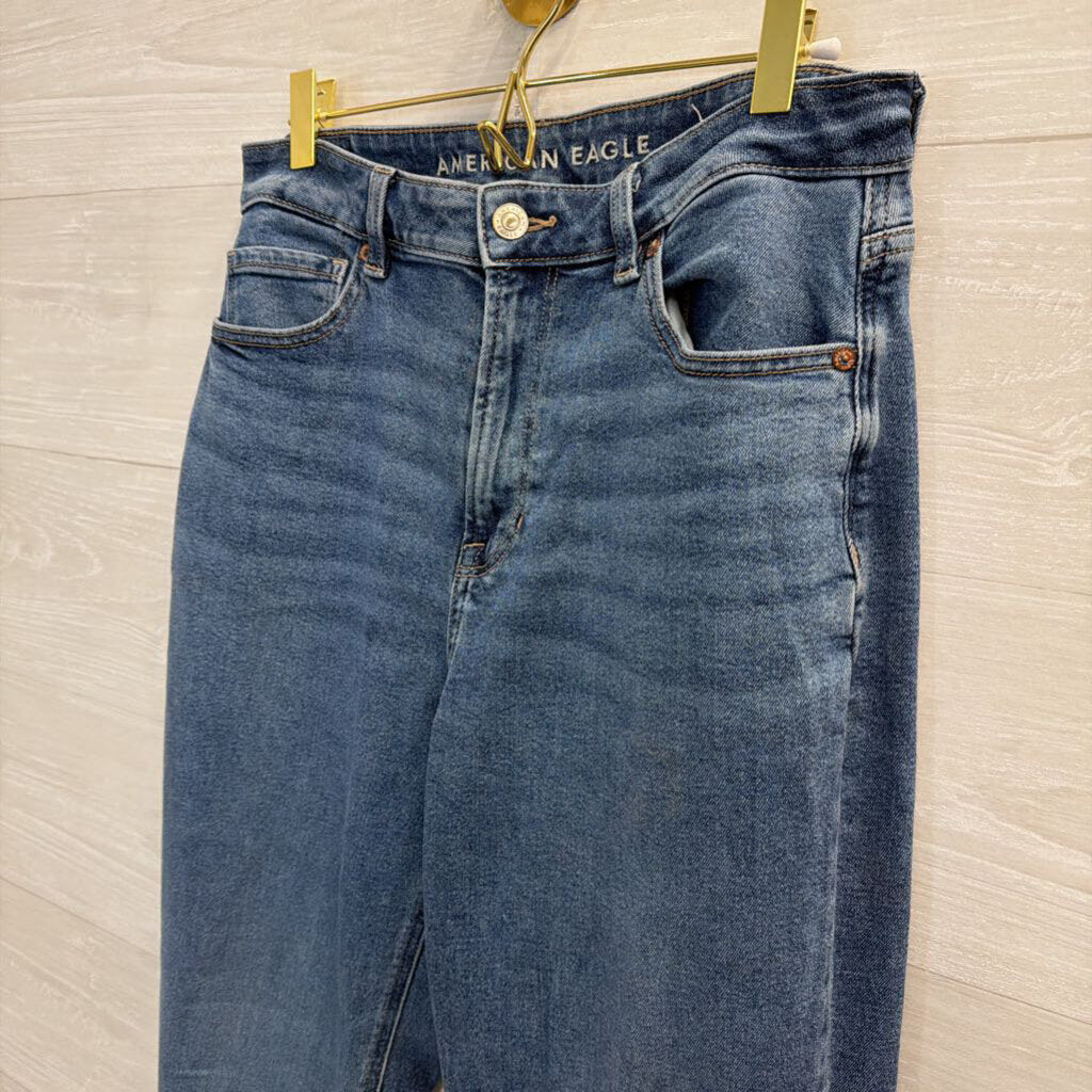 American Eagle Medium Wash Mom Jeans 8 Long
