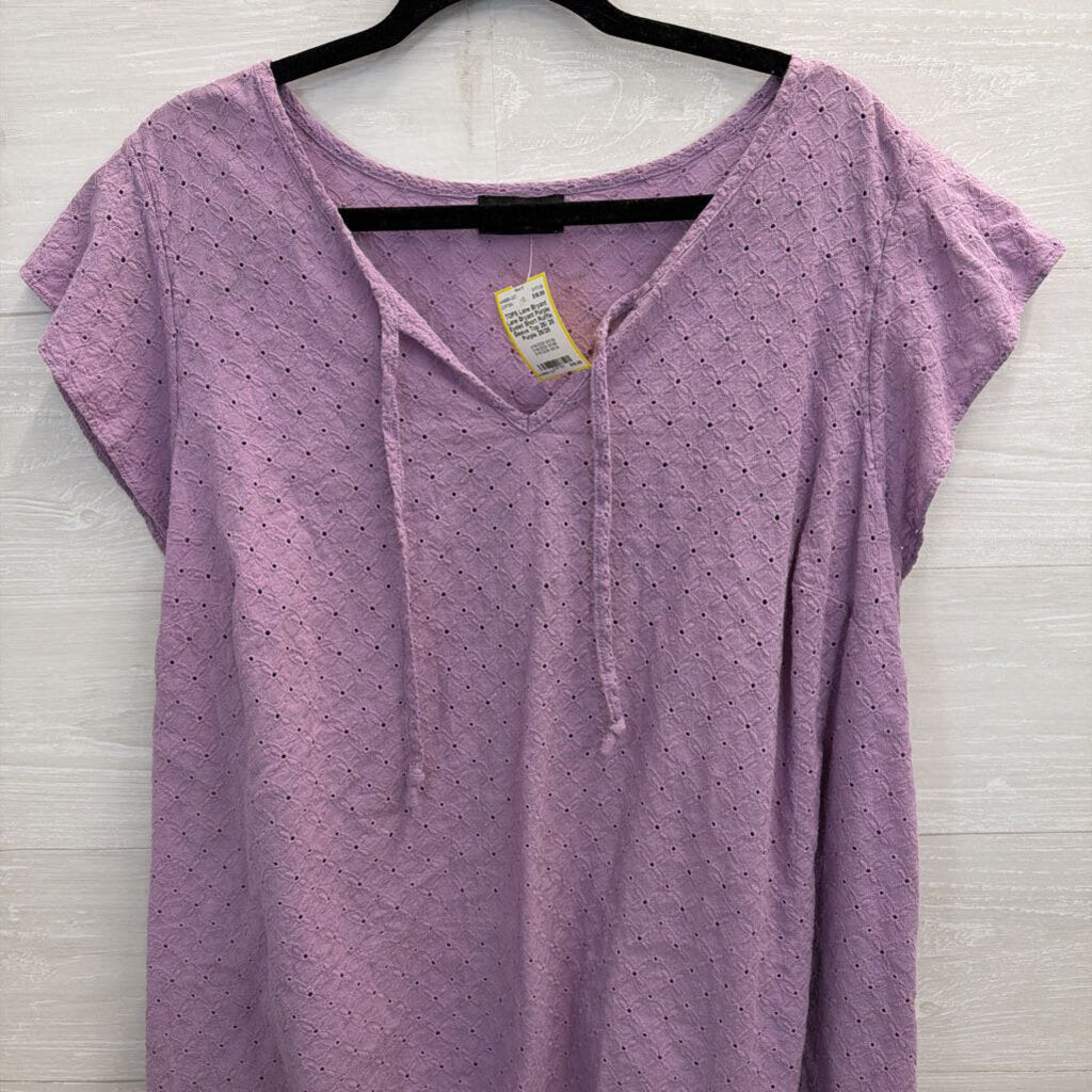 Lane Bryant Purple Eyelet Short Ruffle Sleeve Top 26/ 28