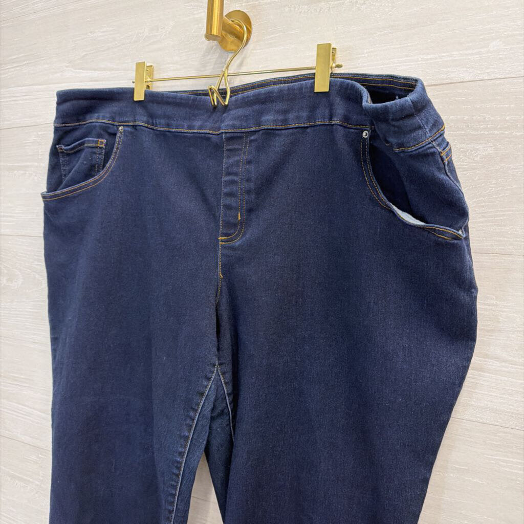 The Pioneer Woman Dark Wash Floral Embroidered Pull On Jeans 2X