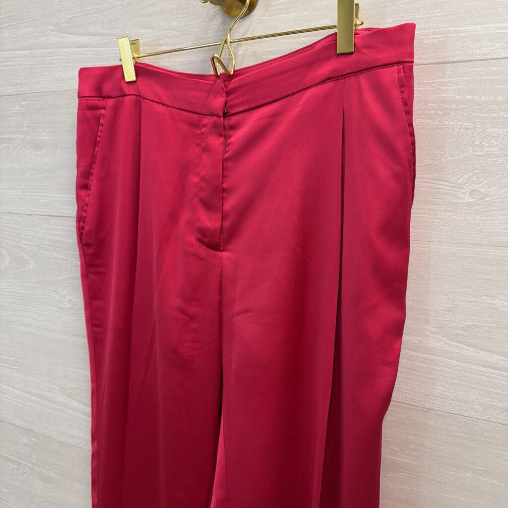 Lucy Paris Hot Pink Satin Pants Large