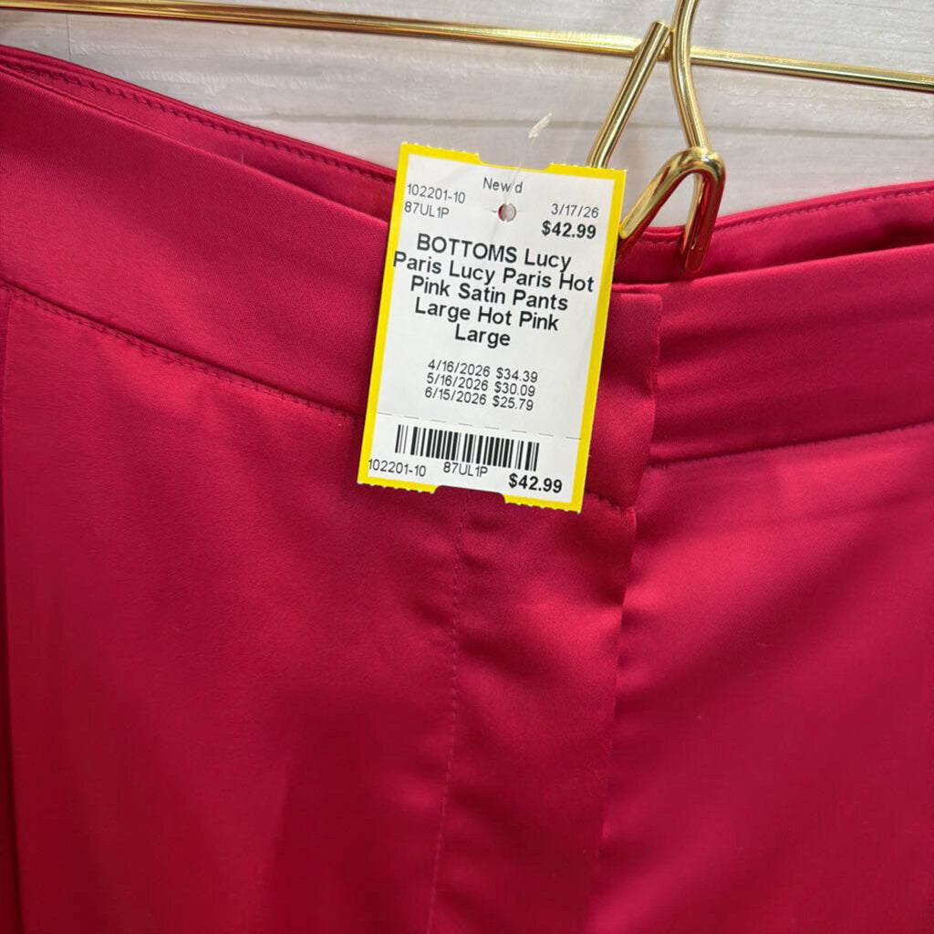 Lucy Paris Hot Pink Satin Pants Large