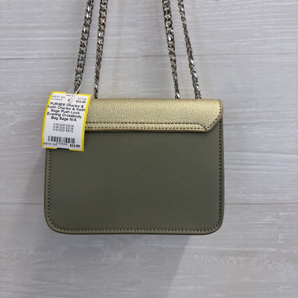 Charles & Keith Sage Push Lock Evening Crossbody Bag