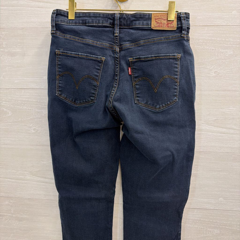 Levi Dark Wash Classic Mid Rise Skinny Jeans 29