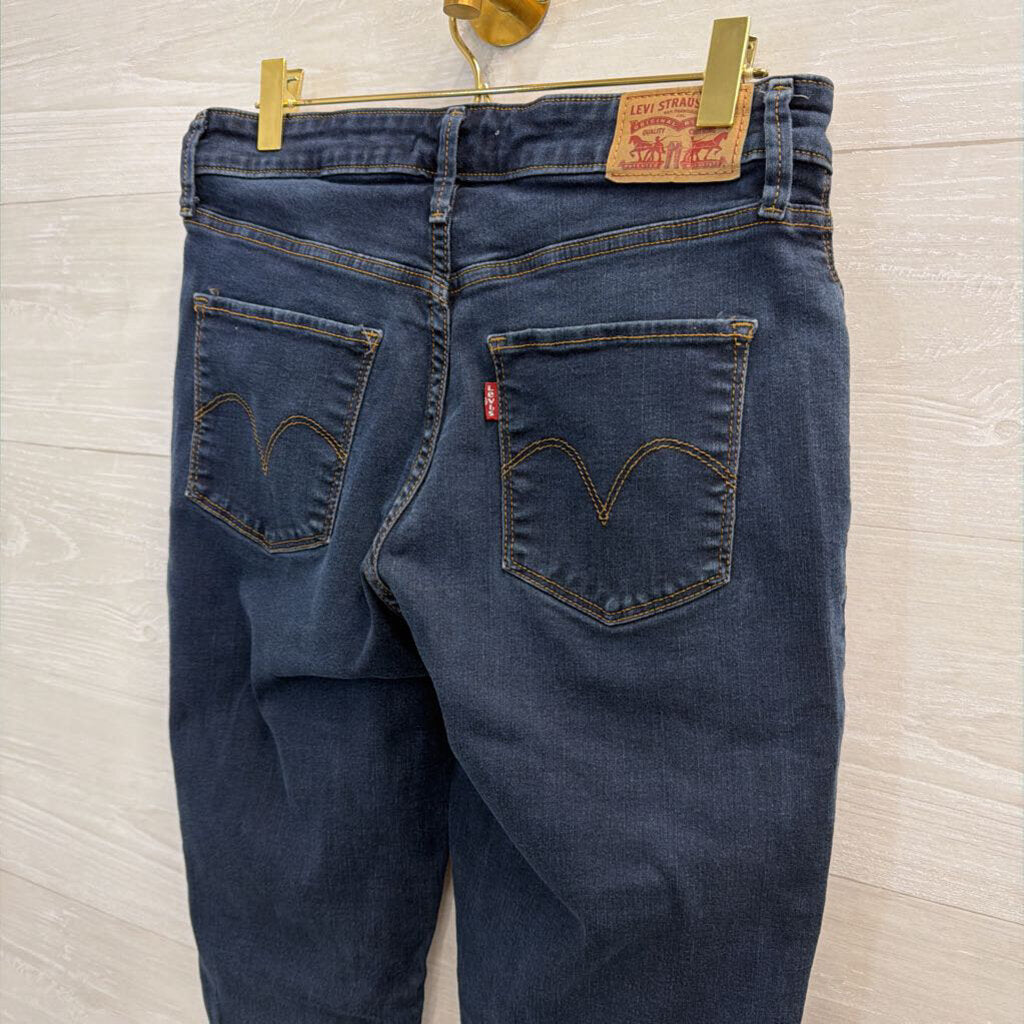 Levi Dark Wash Classic Mid Rise Skinny Jeans 29